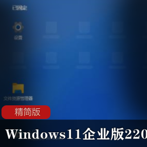 Windows11企业版22000.1精简版
