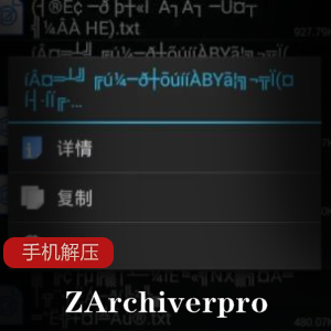 一个手机解压软件ZArchiver pro,自动识别文件能否解压