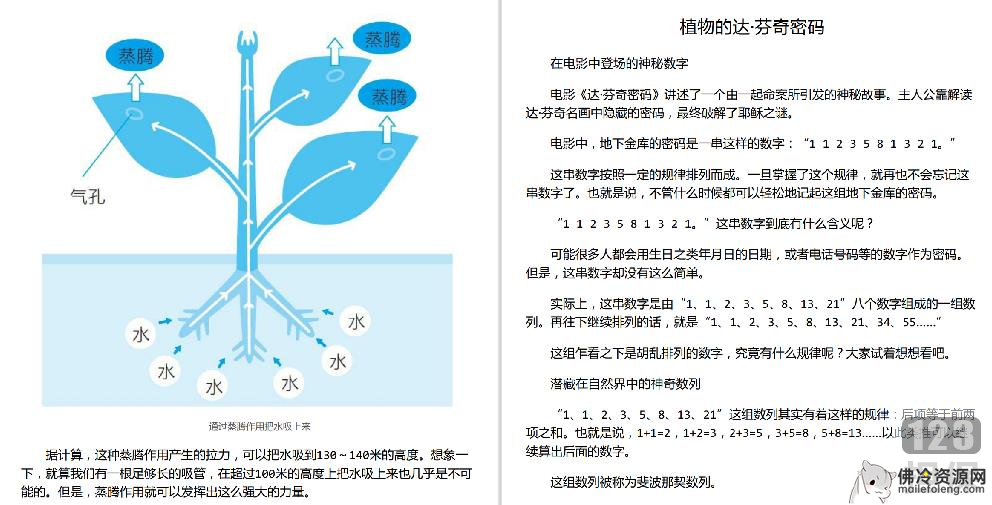 [科学技术] [有趣的让人睡不着的植物][日本 稻垣荣洋][1册][PDF]