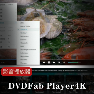 DVDFab Player4K影音播放器