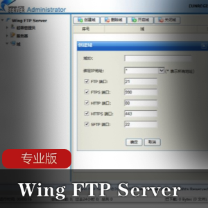 Wing FTP Server专业版