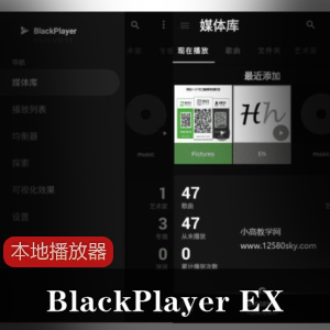 BlackPlayer EX本地播放器
