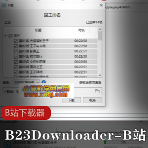 B23Downloader_B站下载器